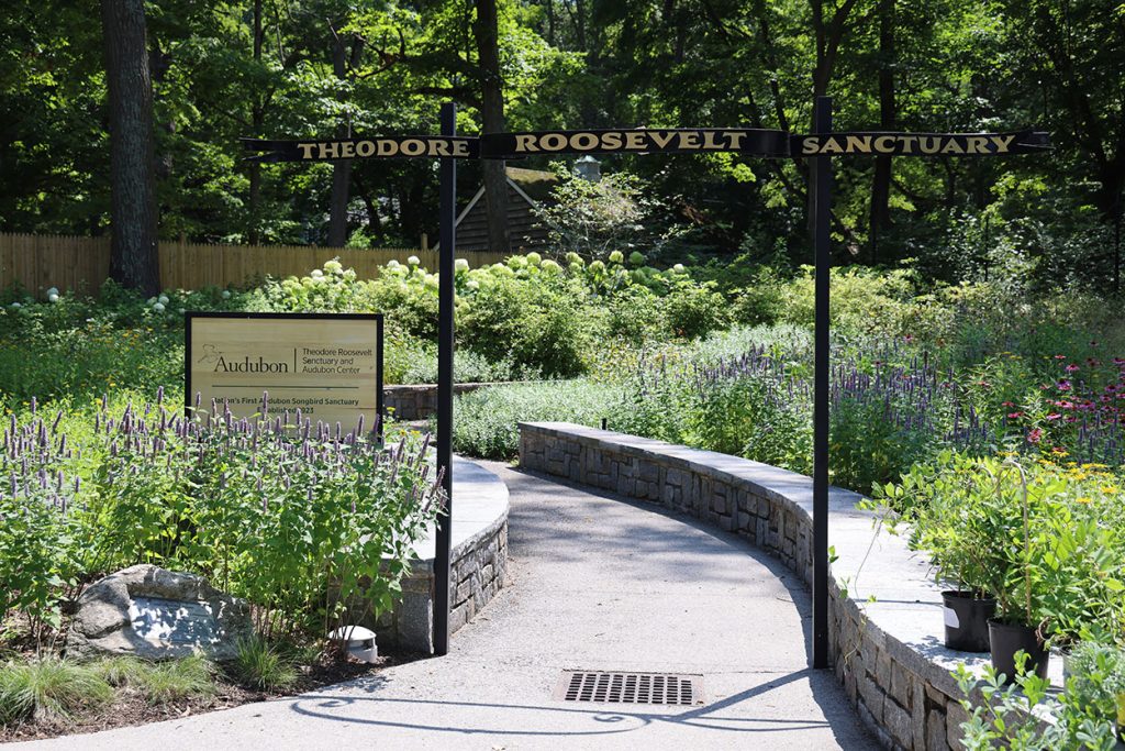 Theodore Roosevelt Sanctuary & Audubon Center
